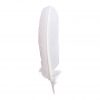 Herbin Goose Quill 28cm White