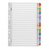 Icon Cardboard Indices with Reinforced Tabs 1-20 Coloured